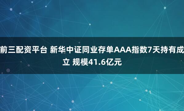 前三配资平台 新华中证同业存单AAA指数7天持有成立 规模41.6亿元