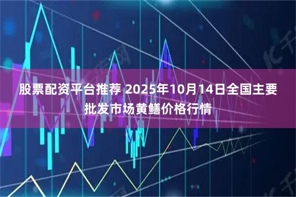 股票配资平台推荐 2025年10月14日全国主要批发市场黄鳝价格行情