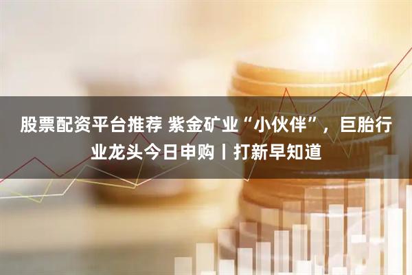 股票配资平台推荐 紫金矿业“小伙伴”,巨胎行业龙头今日申购丨打新早知道